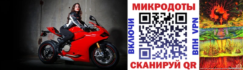Псилоцибиновые грибы Psilocybe Кунгур